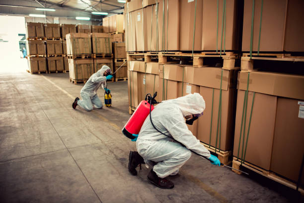 Best Rat Extermination Near Me  in Wewahitchka, FL