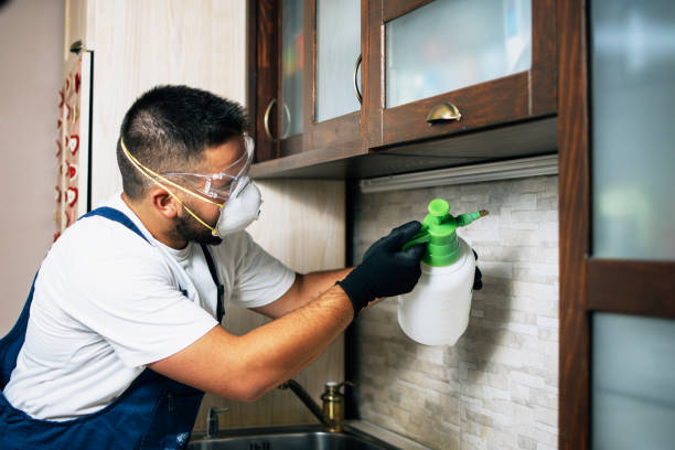 Best Pest Control Treatment  in Wewahitchka, FL