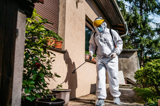 Best Emergency Pest Control  in Wewahitchka, FL