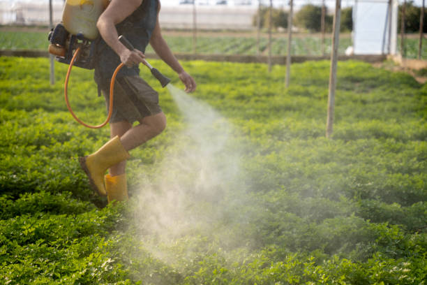 Best Mosquito Control Services  in Wewahitchka, FL