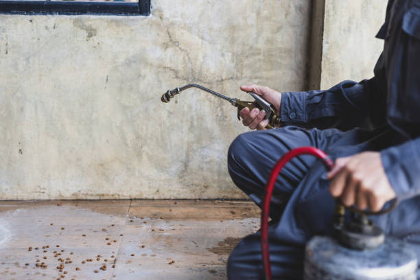 Best Pest Removal Services  in Wewahitchka, FL